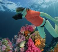 Clinic - VR Snorkelen