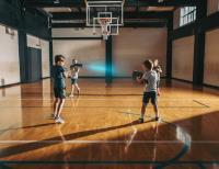 Winterwille - Lasergamen